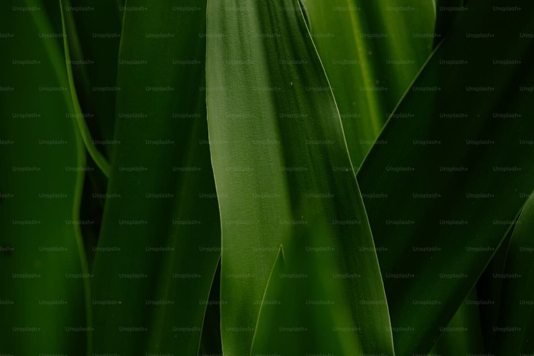 ESG赋能前景 全球首单绿色保函银团项目落地